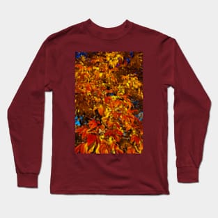 Autumn leaves. Long Sleeve T-Shirt